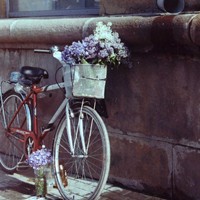 Портфолио Miroslava Marinenko